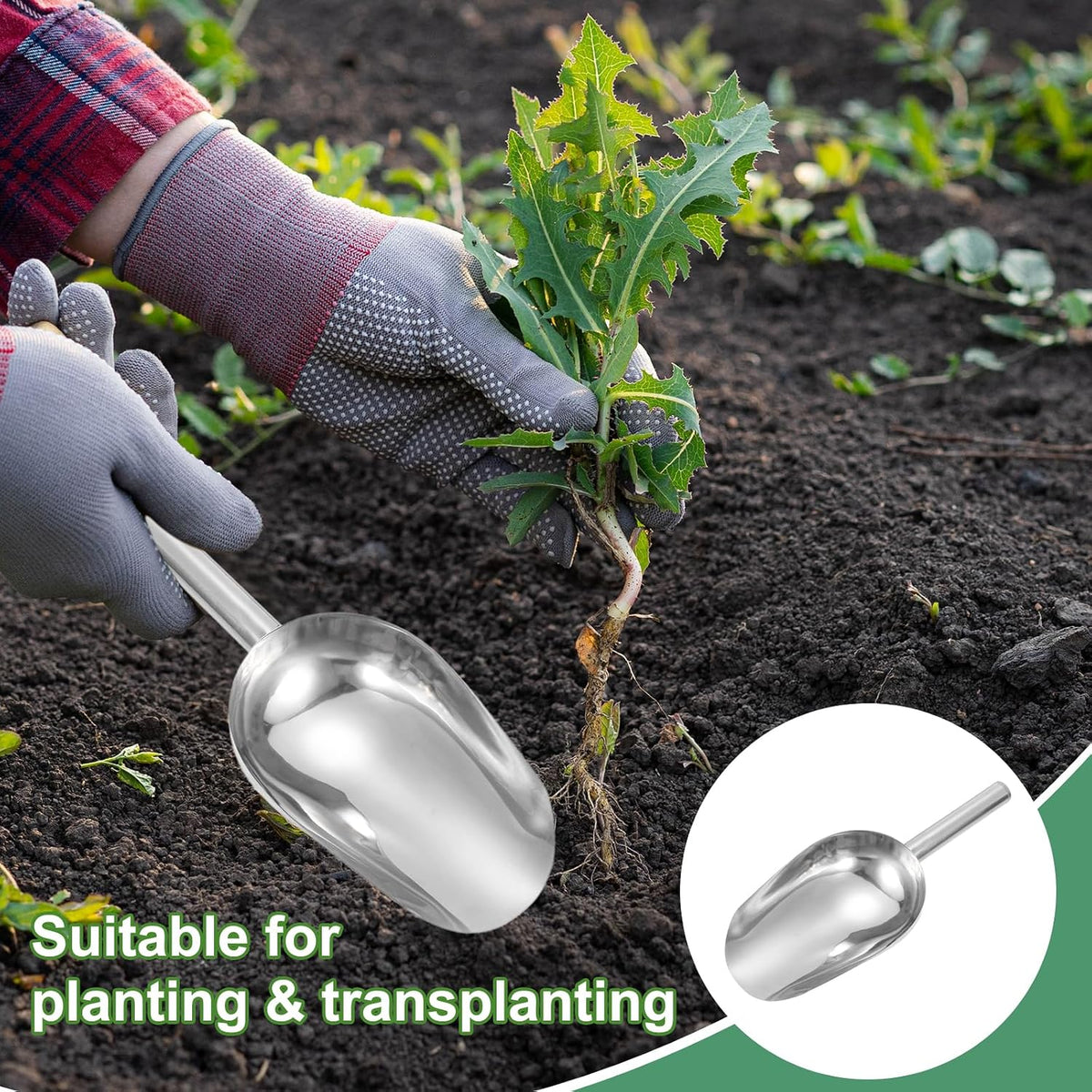 Garden Soil Scoop 9.45 x 3.74 Stainless Steel Hand Shovel Spade with Handle for Planting Weeding Digging