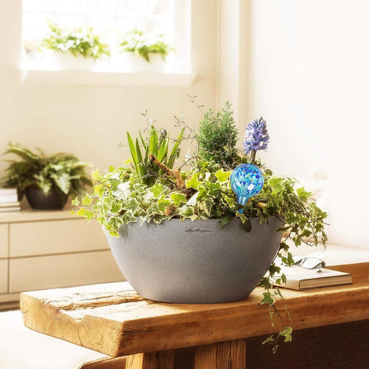 Plant Watering Globes Set of 6, Small - Glass Self Watering Globes