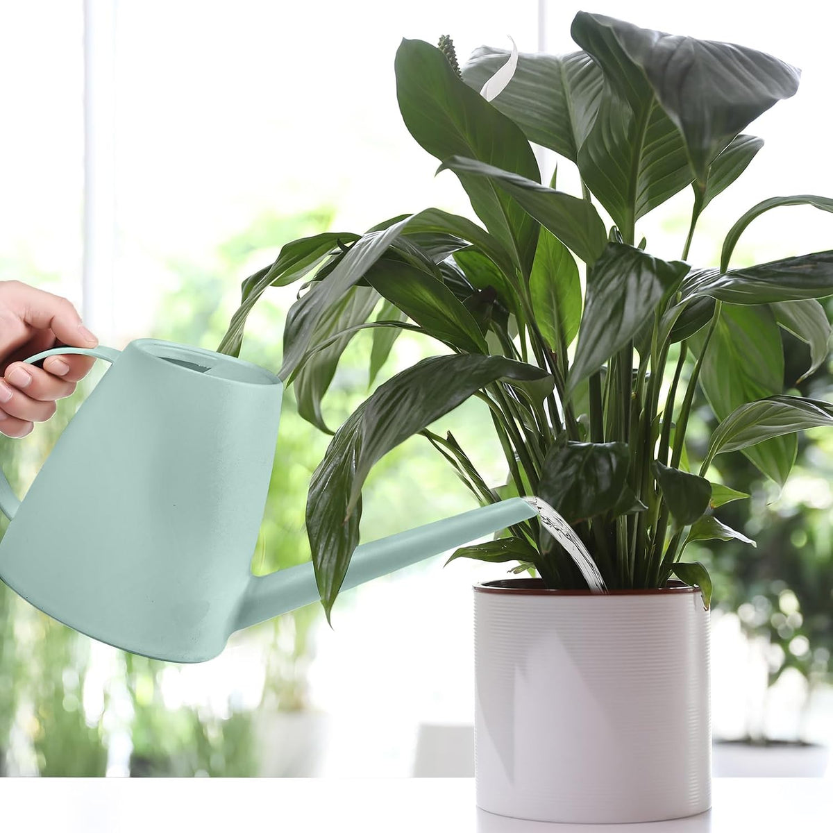 Plastic Watering Can for Home Plant Garden 1/2 Gallon Green