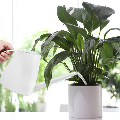 Plastic Watering Can for Home Plant Garden 1/2 Gallon Green