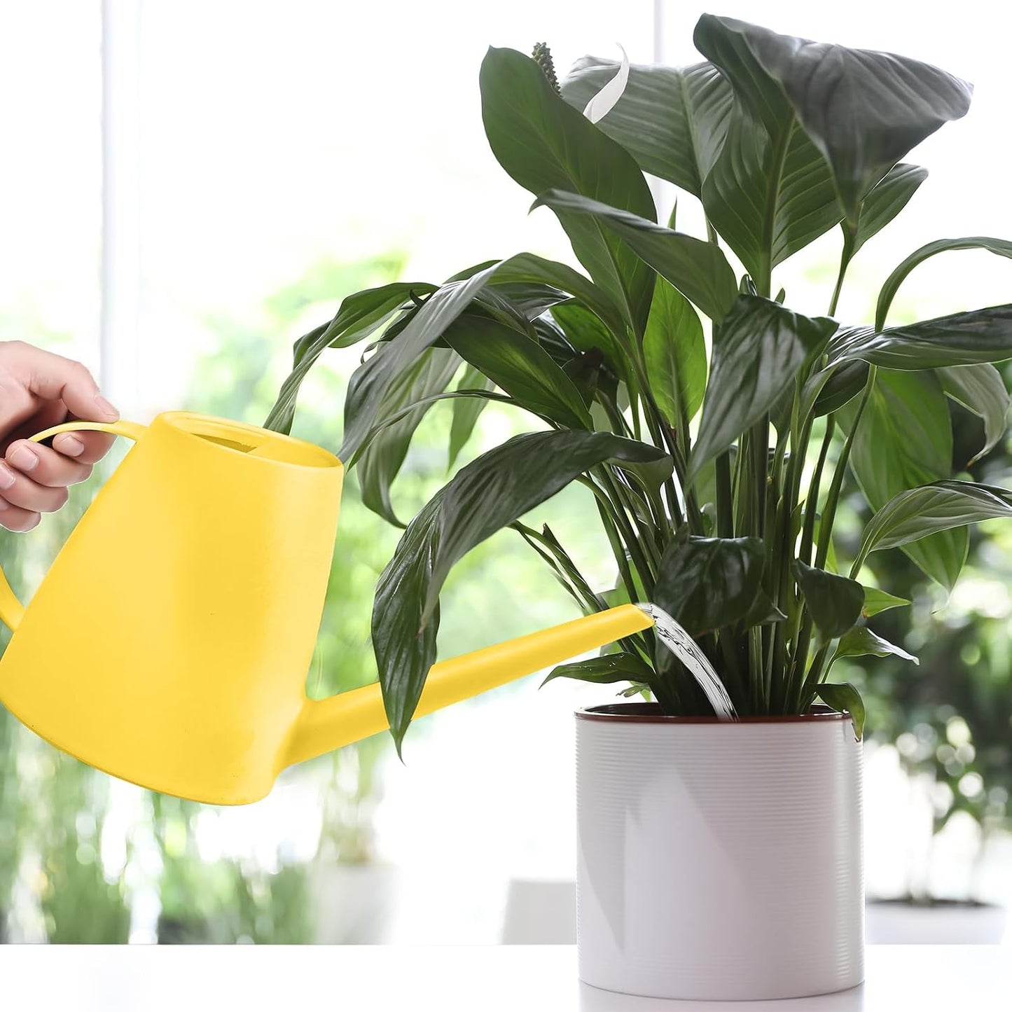 Plastic Watering Can for Home Plant Garden 1/2 Gallon Green