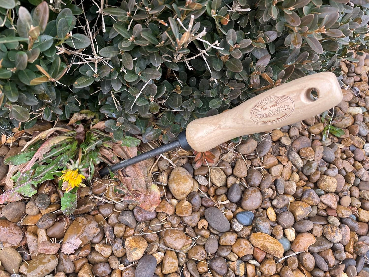 Tierra Garden Dewit Dandelion Weeder