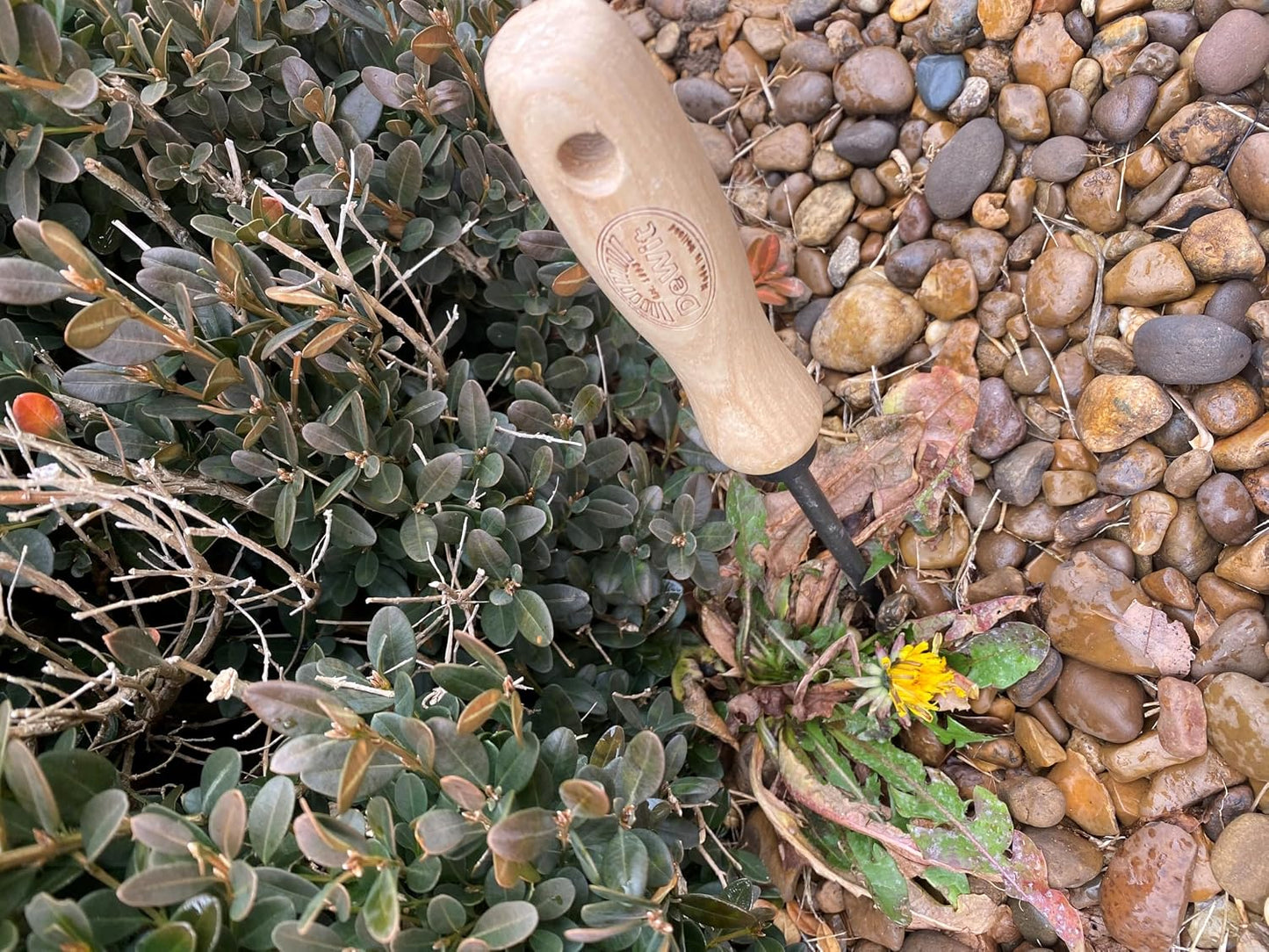 Tierra Garden Dewit Dandelion Weeder