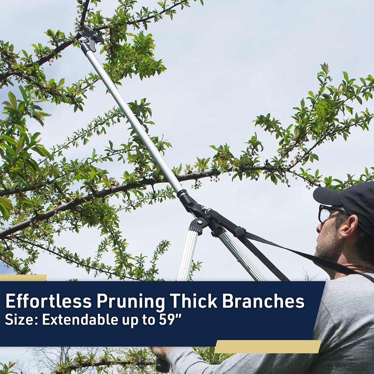 Tree Trimmer Pruning Shears - 59” Long Reach Pruner with Rotating Head and Sharp Bypass Loppers - Tree Branch Cutter for Branches Up to 1-3/8” - Lightweight Aluminum Pruners