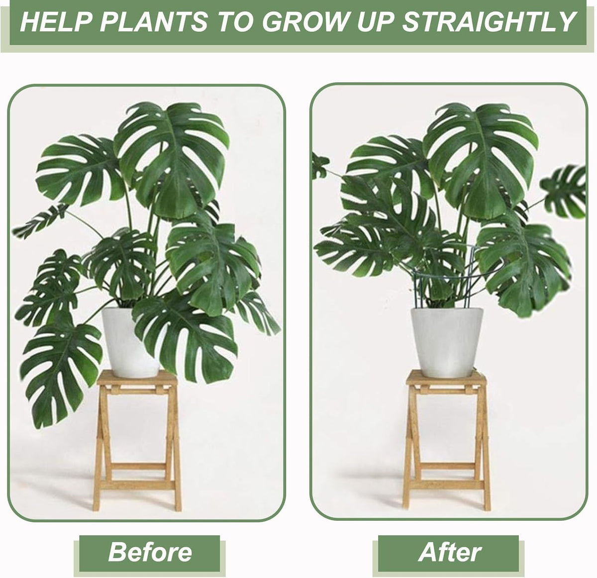 12 Pack Plant Support Stakes, Size 10"x16", Come with 15 Pcs Plant Labels, 20 Pcs Plant Clips, 7ft Plant Ties, Metal Garden Peony Cages and Supports for Potted Plants Tomato Hydrangea