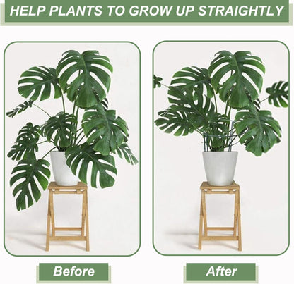 12 Pack Plant Support Stakes, Size 10"x16", Come with 15 Pcs Plant Labels, 20 Pcs Plant Clips, 7ft Plant Ties, Metal Garden Peony Cages and Supports for Potted Plants Tomato Hydrangea