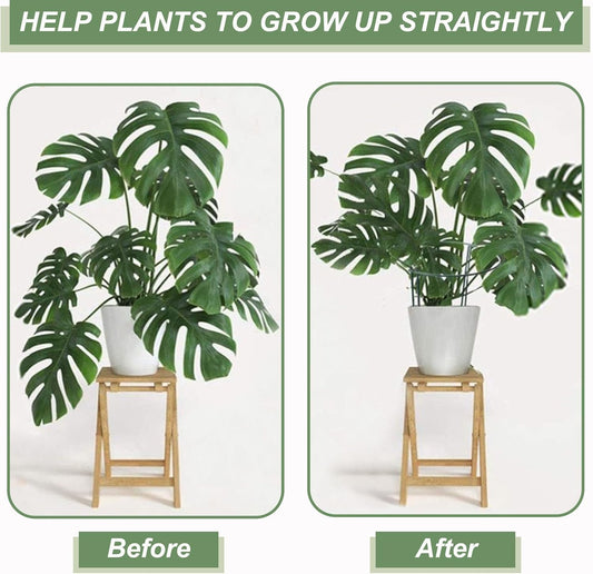 12 Pack Plant Support Stakes, Size 10"x16", Come with 15 Pcs Plant Labels, 20 Pcs Plant Clips, 7ft Plant Ties, Metal Garden Peony Cages and Supports for Potted Plants Tomato Hydrangea