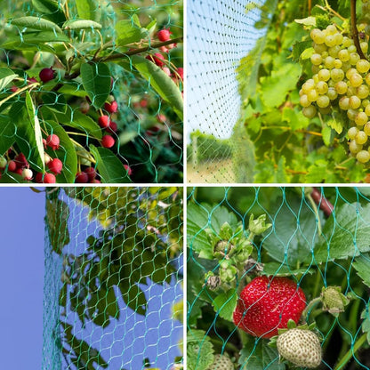 Bird Netting for Garden Protect Vegetable Plants and Fruit Trees, 13x33ft