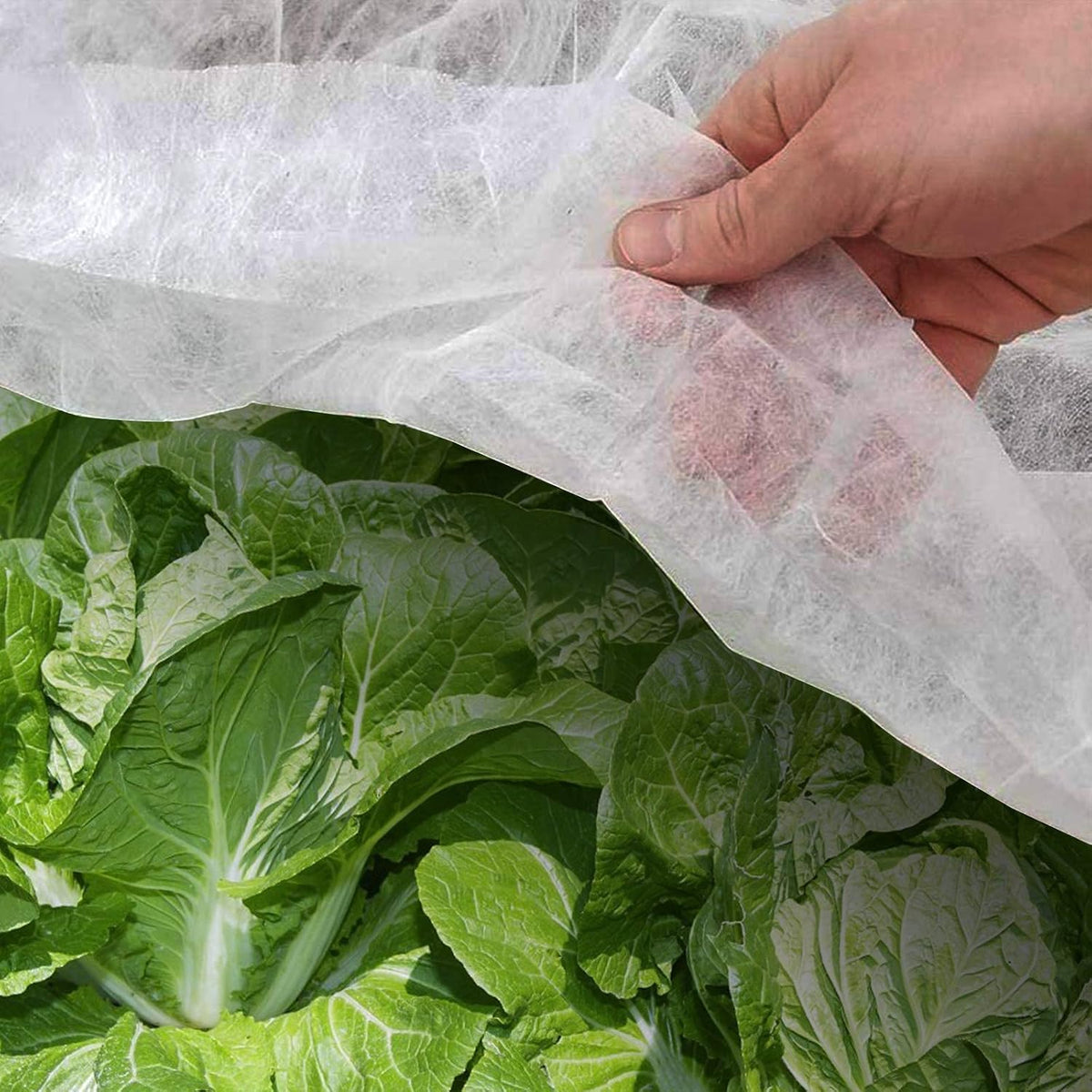 8FT×24FT Plant Covers Frost Cloth Breathable Floating Row Cover
