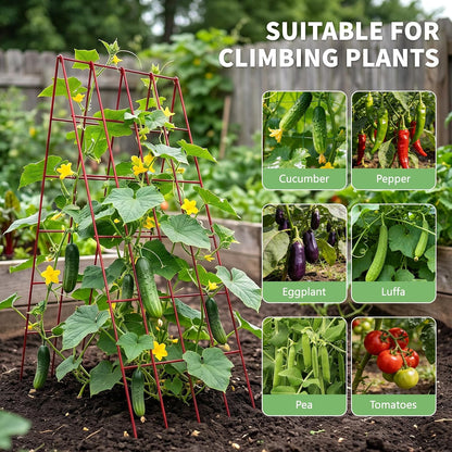 39.4" H Cucumber Trellis, 2 Pack Foldable A Frame Garden Trellis