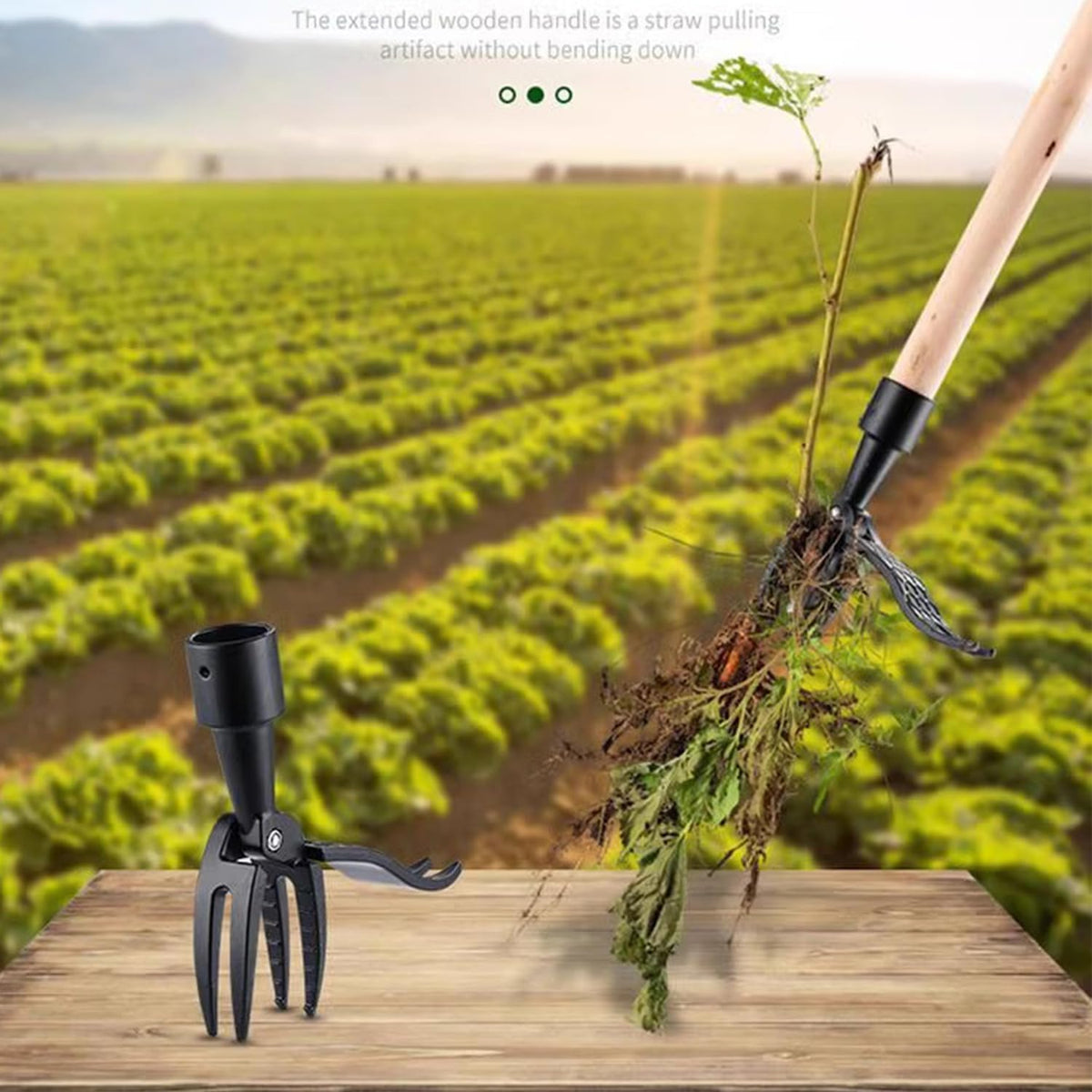 Stand Up Weed Puller an Upright Weeding Tool Standing Weed Clip No Bending 4 Claws