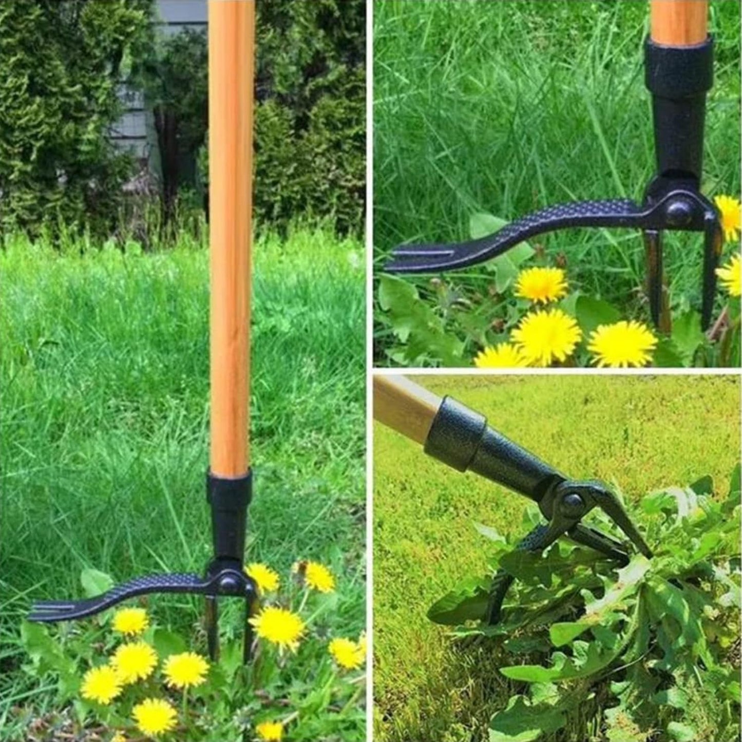 Stand Up Weed Puller an Upright Weeding Tool Standing Weed Clip No Bending 4 Claws