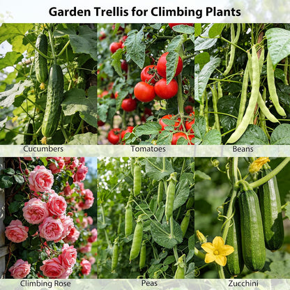 Cucumber Trellis, 48"x48" A-Frame Trellis for Raised Bed, Garden Trellis for Climbing Plants Outdoor, Plant Support for Vegetables Vines