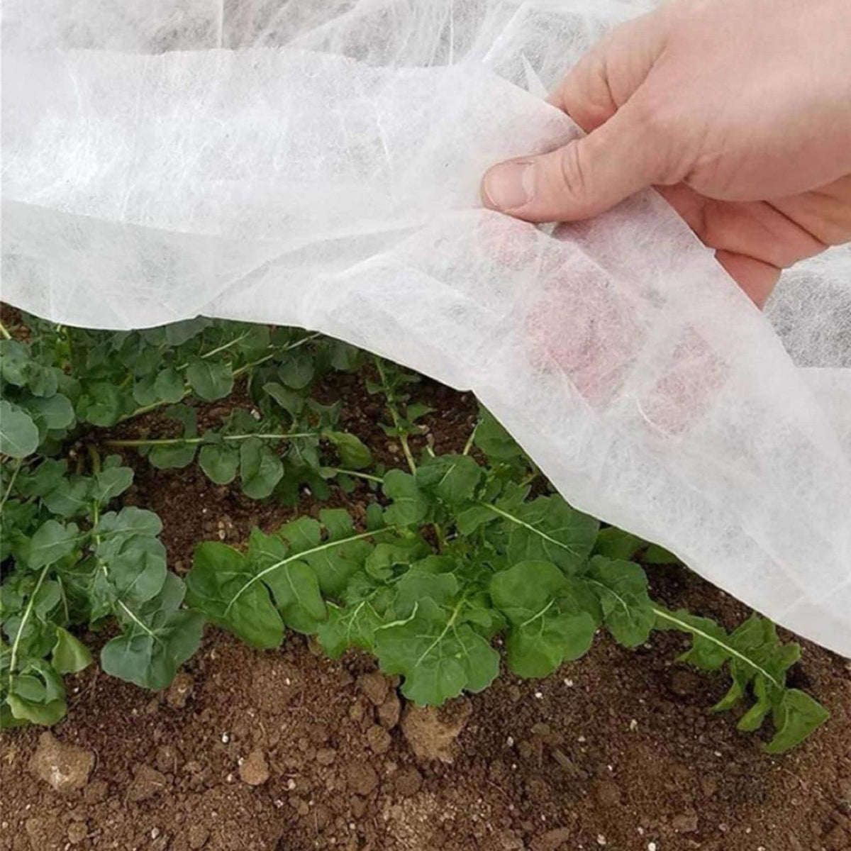 Plant Covers Freeze Protection, 1.2oz 10x30FT Frost Cloth Plant Freeze Protection, Plant Frost Blankets Covers for Outdoor Plants for Winter Cold Weather, Floating Row Cover for Vegetables