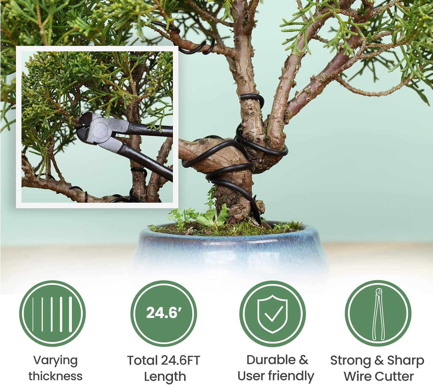 12-Piece Bonsai Tools Set With Wood Box, Gift For Men Women
