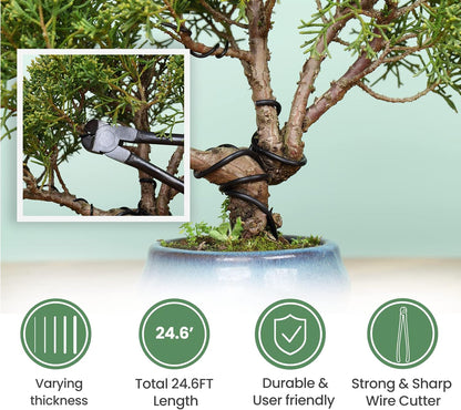 12-Piece Bonsai Tools Set With Wood Box, Gift For Men Women