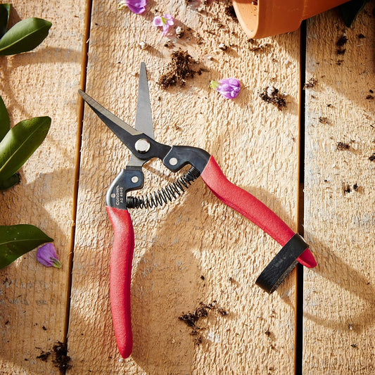 Long Curved Snips – 1.75″ Tempered Steel Precision Garden Shears for Fruit, Herbs, Flowers & Vineyard Use