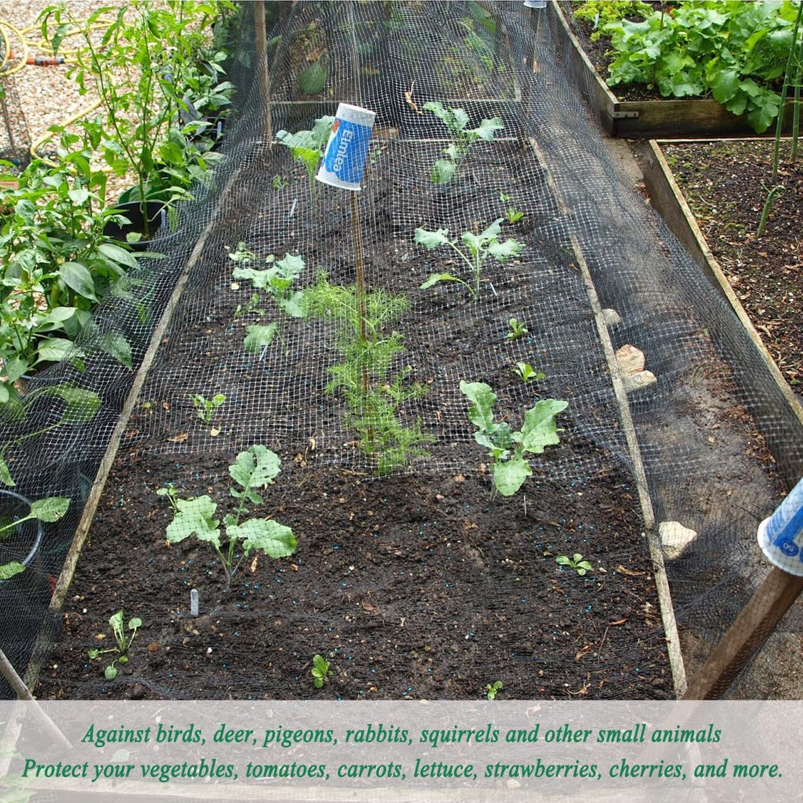 Bird Netting 7x100FT, 3/4" Mesh Garden Netting for Plant Protection