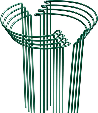 8 Pack Plant Support Stakes, Half Round Metal Garden Plant Stake Indoor Peony Cages and Supports, Green Plant Support Ring Border for Tomato,Hydrangea,Flower Outdoor (10" Wide x 15.8" High)