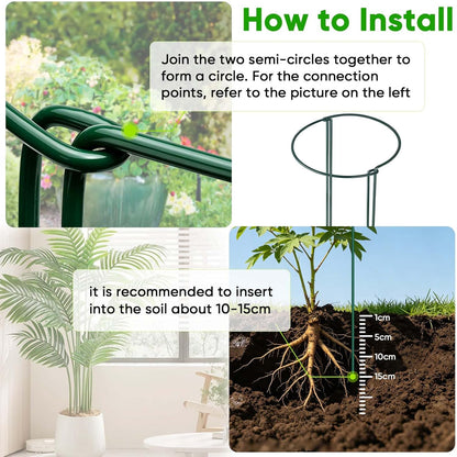 8 Pack Plant Support Stakes, Half Round Metal Garden Plant Stake Indoor Peony Cages and Supports, Green Plant Support Ring Border for Tomato,Hydrangea,Flower Outdoor (10" Wide x 15.8" High)