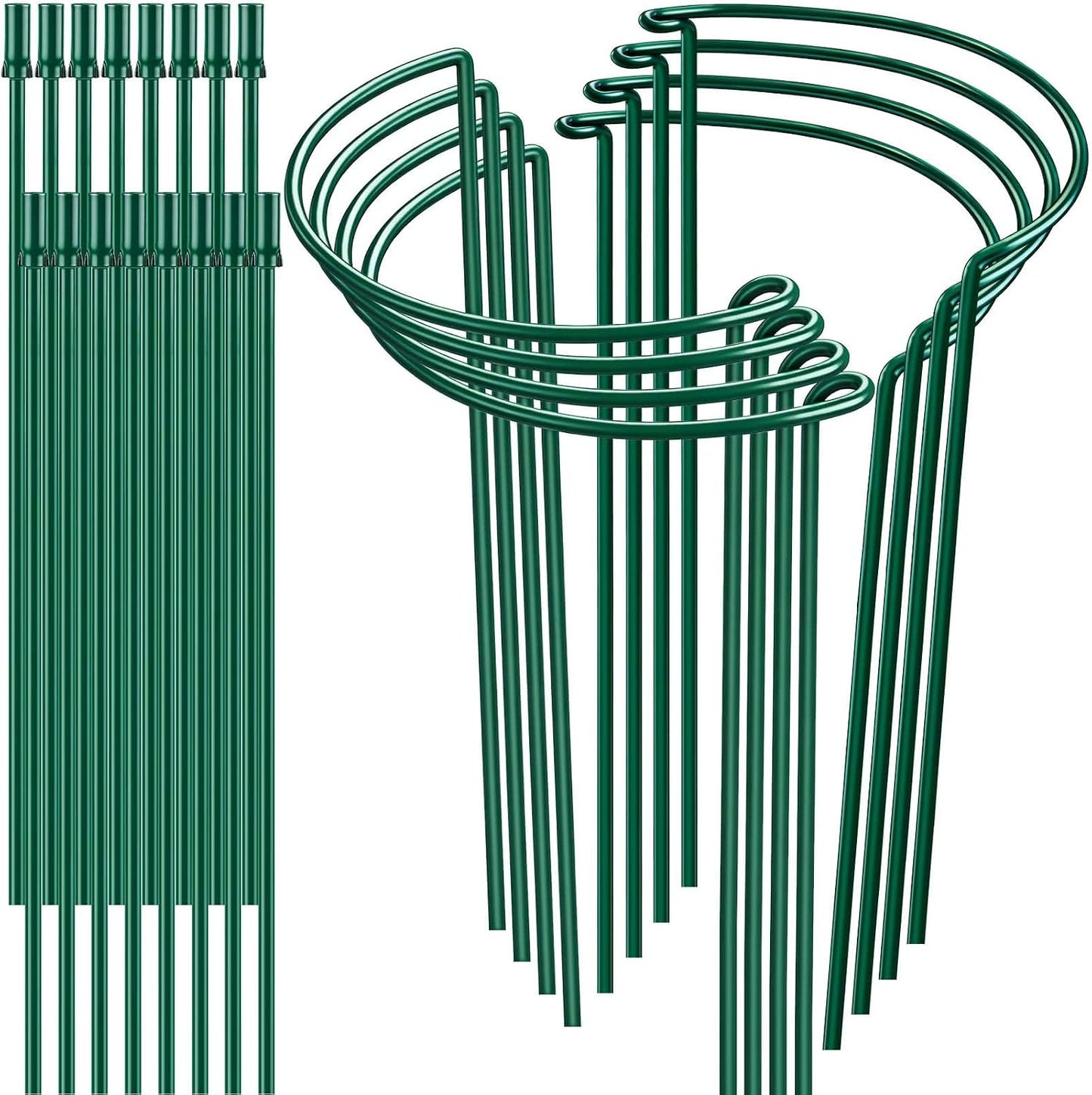 8 Pack Plant Support Stakes, Half Round Metal Garden Plant Stake Indoor Peony Cages and Supports, Green Plant Support Ring Border for Tomato,Hydrangea,Flower Outdoor (10" Wide x 15.8" High)