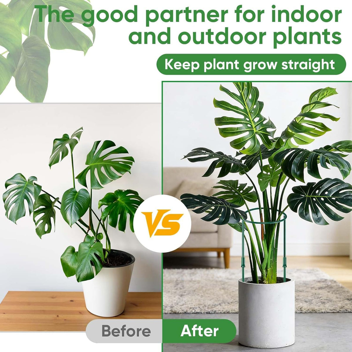 8 Pack Plant Support Stakes, Half Round Metal Garden Plant Stake Indoor Peony Cages and Supports, Green Plant Support Ring Border for Tomato,Hydrangea,Flower Outdoor (10" Wide x 15.8" High)
