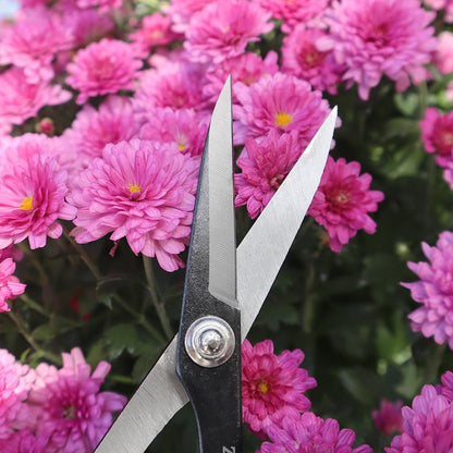 Deluxe Scissors, 8-Inch