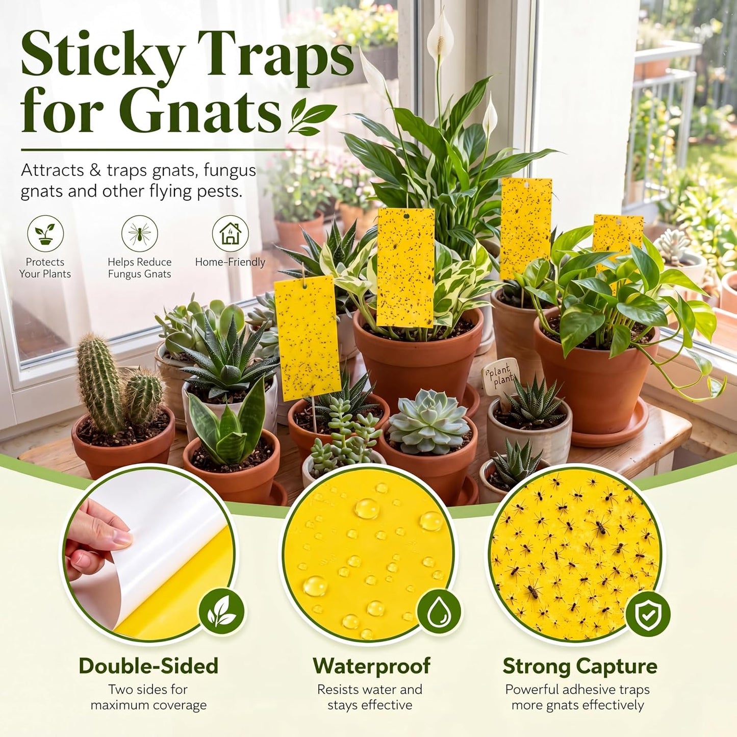 Qualirey 100 Pcs Yellow Sticky Traps for Gnats, 7.87 x 3.9 Inch