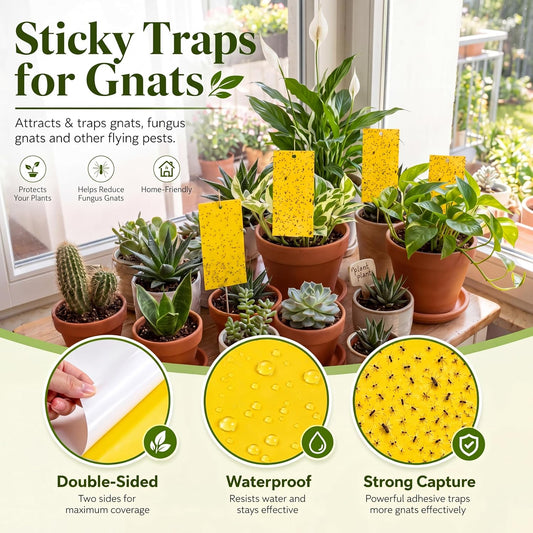 Qualirey 100 Pcs Yellow Sticky Traps for Gnats, 7.87 x 3.9 Inch