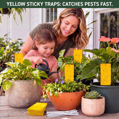 Qualirey 100 Pcs Yellow Sticky Traps for Gnats, 7.87 x 3.9 Inch