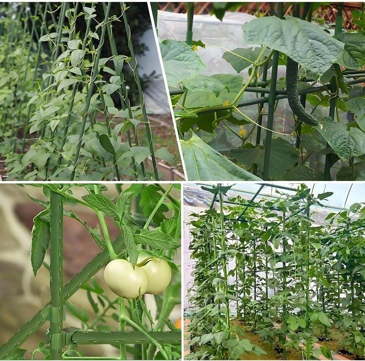 Sturdy Garden Stakes 18 Inch DIY 3/4/5/6/7ft Tomato Support Stake Green Plastic Coated Metal Tall Plant Stick Poles Plants Trellis for Indoor Outdoor Climbing Cucumber Chili Eggplant-20 Packs