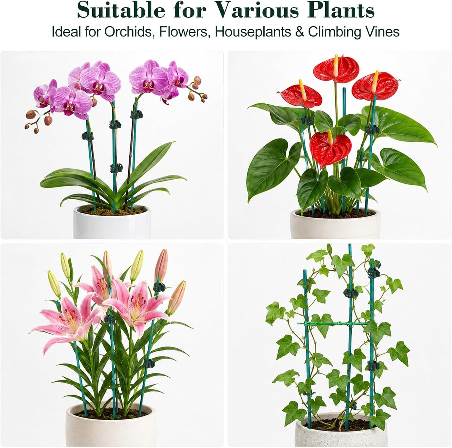 110 Pcs 15 Inch Plant Support Kit for Small Orchids, Stakes, Clips
