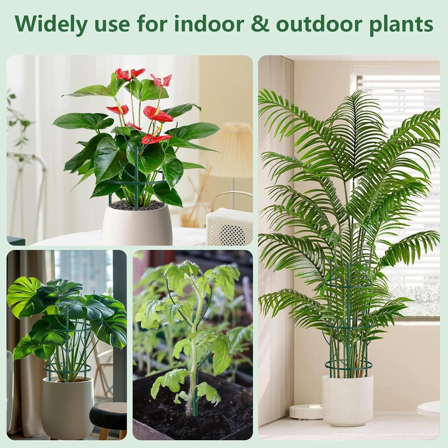 12 Pack Plant Support Stake Half Round Plant Support for Indoor Plants, Stackable 3 Tier Garden Flower Support, Plant Rings for Tomato,Monstera, Peony, Hydrangea, Climbing Plants