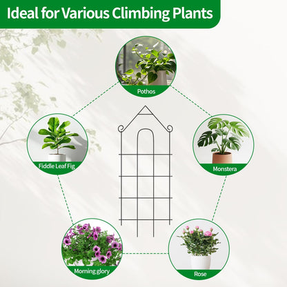 4-Pack Metal Trellis for Potted Plants, 43" Heavy Duty Garden Trellis for Climbing Plants, Rustproof Powder Coated Indoor/Outdoor Trellis for Climbing Vines, Flowers, Houseplants