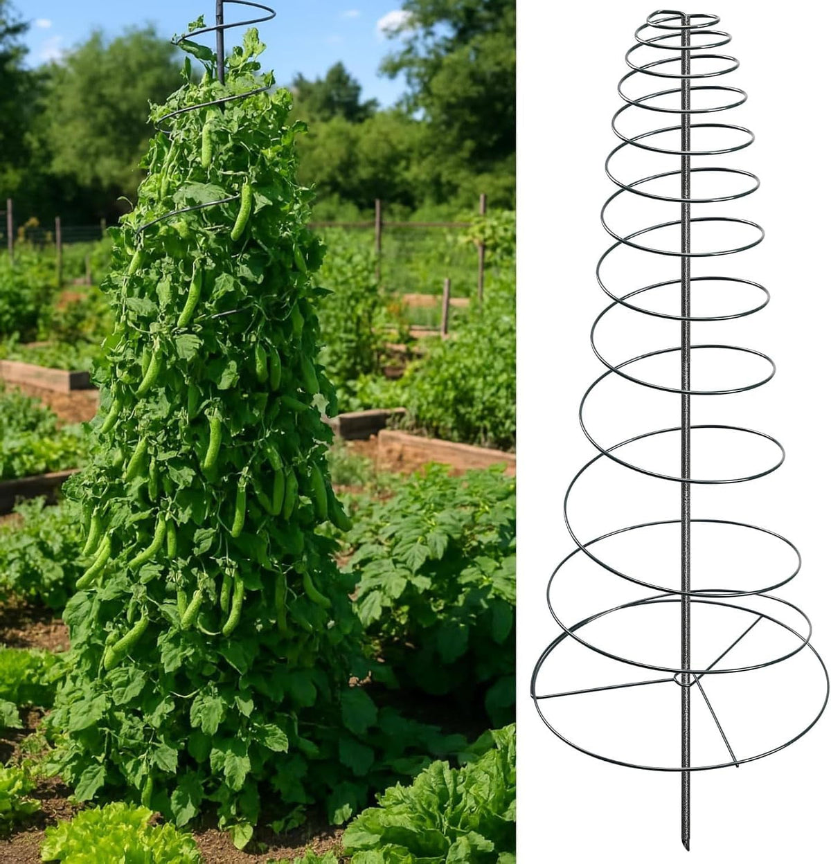Spiral Frame Trellis for Climbing Plants Outdoor -72" Tall Heavy Duty Metal Garden Plant Tower Support with Anti-Tip Center Pole,for Pole Bean,Berry,Cucumber,Sweet Peas,Clematis,Potted Plants,Vines