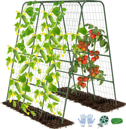 Cucumber Trellis for Raised Bed, 63" Heavy Duty U-Shape Garden Trellis for Climbing Plants Outdoor, Rustproof Plastic Metal Arch Vegetables Trellis Plant Support for Vine, Fruits, Beans and Flowers