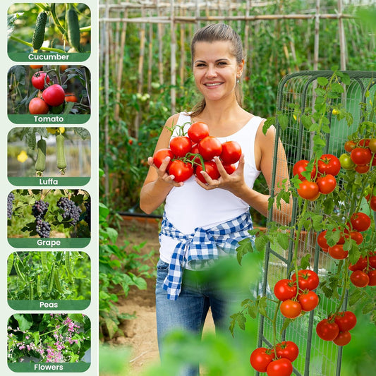 Cucumber Trellis for Raised Bed, 63" Heavy Duty U-Shape Garden Trellis for Climbing Plants Outdoor, Rustproof Plastic Metal Arch Vegetables Trellis Plant Support for Vine, Fruits, Beans and Flowers