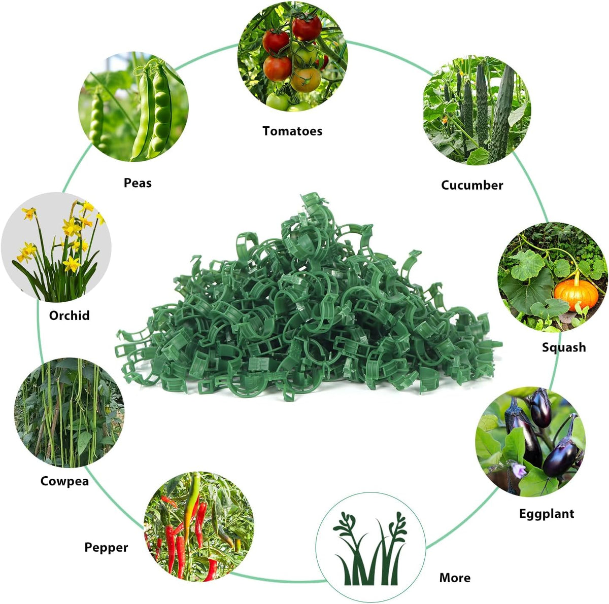 Bulk Tomato Clips, Plant Support Clip for String Trellis Climbing Plants Garden Vegetables- 200PCS/White