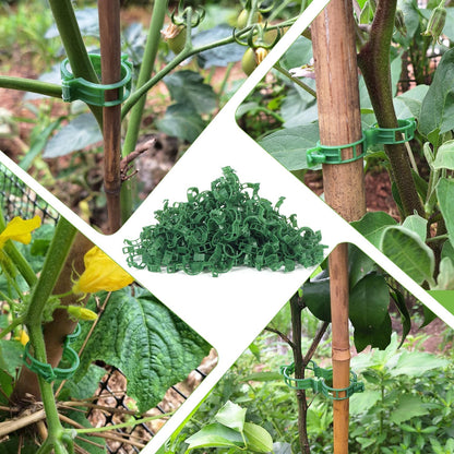 Bulk Tomato Clips, Plant Support Clip for String Trellis Climbing Plants Garden Vegetables- 200PCS/White