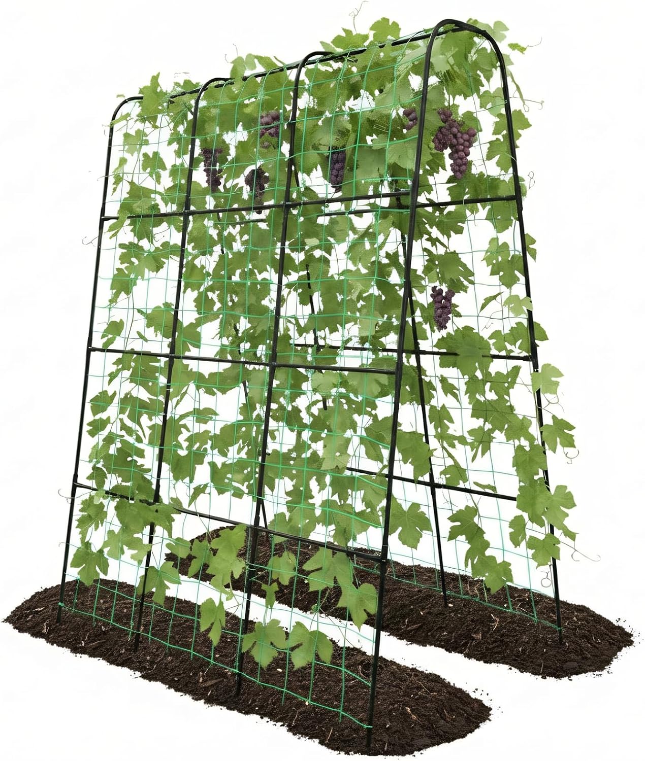 Cucumber Trellis - 62.4"*50" Cucumber Trellis for Raised Bed with Plastic-Coated Steel Pipe, U-Shape Garden Trellis for Climbing Plants, Garden Trellis for Cucumbers, Beans(Black)