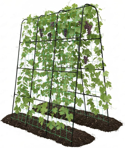 Cucumber Trellis - 62.4"*50" Cucumber Trellis for Raised Bed with Plastic-Coated Steel Pipe, U-Shape Garden Trellis for Climbing Plants, Garden Trellis for Cucumbers, Beans(Black)