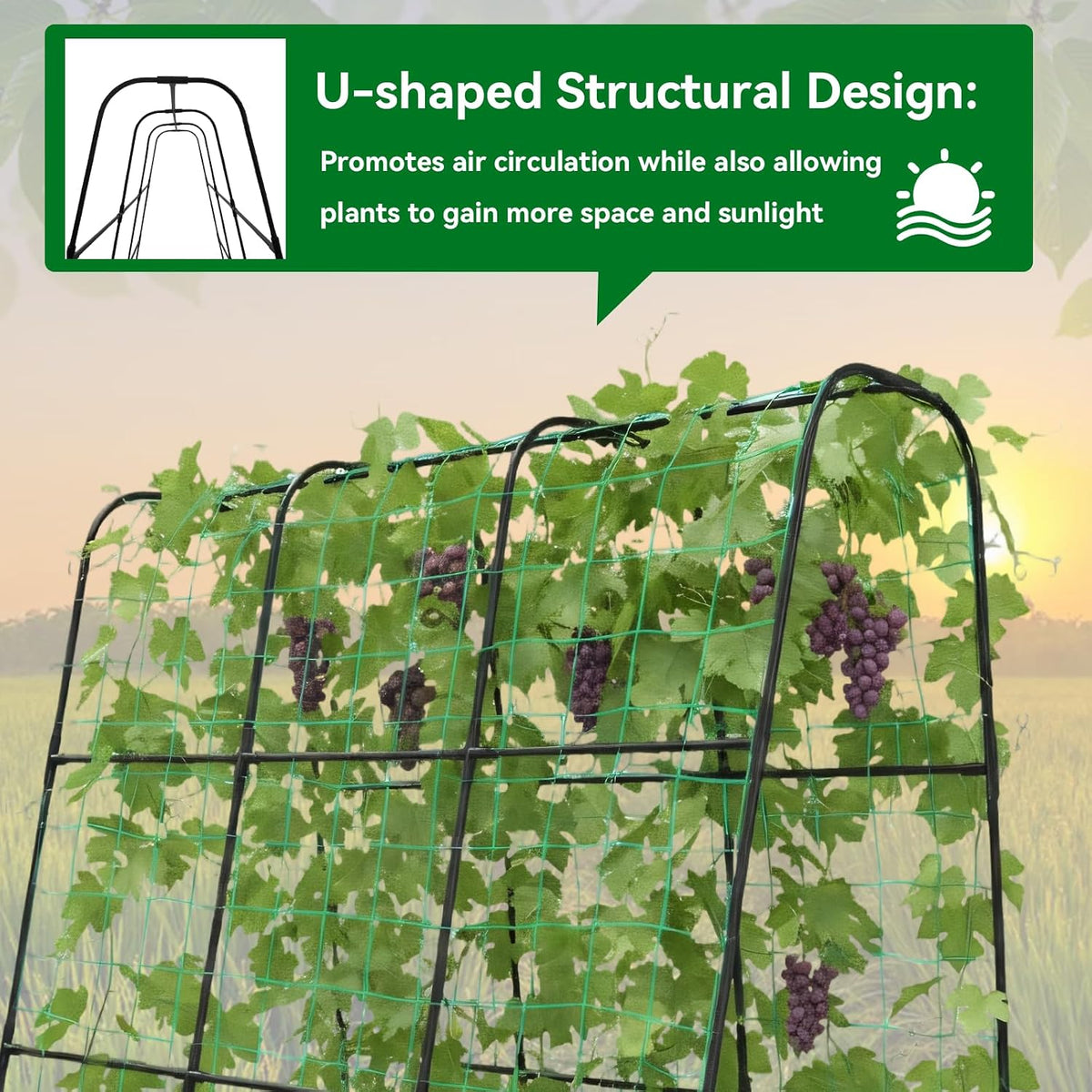 Cucumber Trellis - 62.4"*50" Cucumber Trellis for Raised Bed with Plastic-Coated Steel Pipe, U-Shape Garden Trellis for Climbing Plants, Garden Trellis for Cucumbers, Beans(Black)