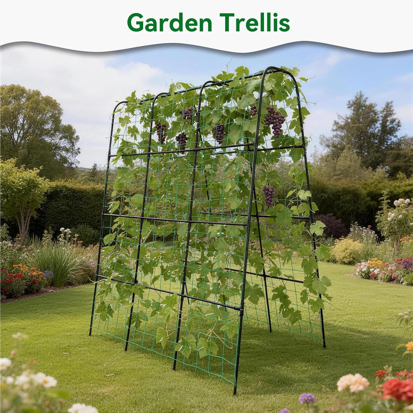 Cucumber Trellis - 62.4"*50" Cucumber Trellis for Raised Bed with Plastic-Coated Steel Pipe, U-Shape Garden Trellis for Climbing Plants, Garden Trellis for Cucumbers, Beans(Black)