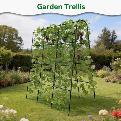 Cucumber Trellis - 62.4"*50" Cucumber Trellis for Raised Bed with Plastic-Coated Steel Pipe, U-Shape Garden Trellis for Climbing Plants, Garden Trellis for Cucumbers, Beans(Black)