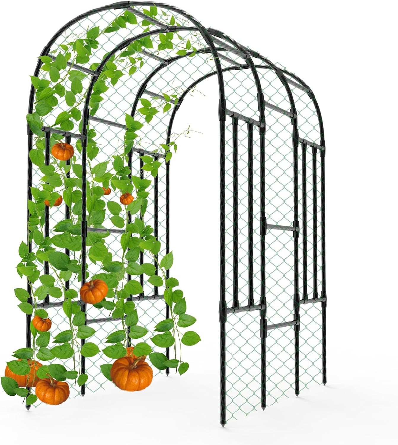Cucumber Trellis - 62.4"*50" Cucumber Trellis for Raised Bed with Plastic-Coated Steel Pipe, U-Shape Garden Trellis for Climbing Plants, Garden Trellis for Cucumbers, Beans(Black)