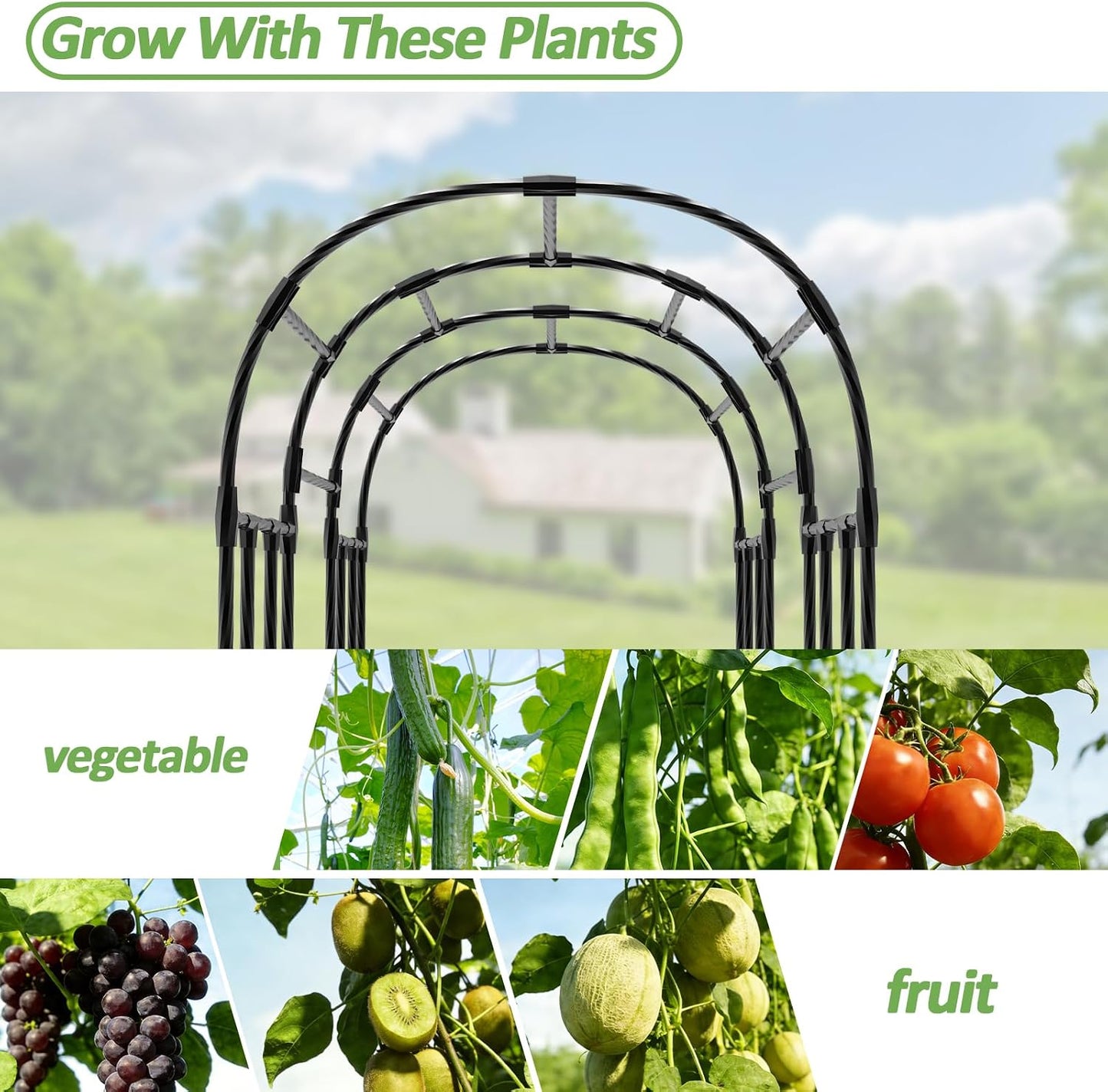 Cucumber Trellis - 62.4"*50" Cucumber Trellis for Raised Bed with Plastic-Coated Steel Pipe, U-Shape Garden Trellis for Climbing Plants, Garden Trellis for Cucumbers, Beans(Black)