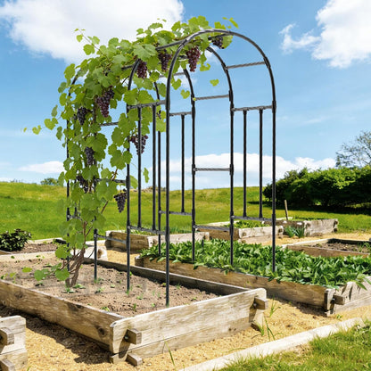 Cucumber Trellis - 62.4"*50" Cucumber Trellis for Raised Bed with Plastic-Coated Steel Pipe, U-Shape Garden Trellis for Climbing Plants, Garden Trellis for Cucumbers, Beans(Black)