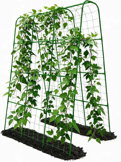 Cucumber Trellis - 62.4"*50" Cucumber Trellis for Raised Bed with Plastic-Coated Steel Pipe, U-Shape Garden Trellis for Climbing Plants, Garden Trellis for Cucumbers, Beans(Black)
