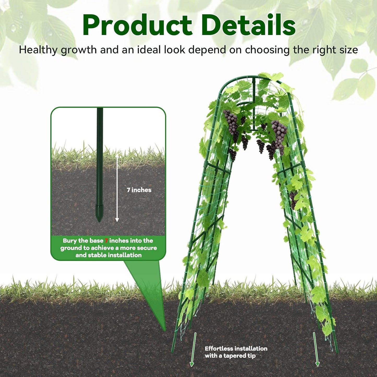 Cucumber Trellis - 62.4"*50" Cucumber Trellis for Raised Bed with Plastic-Coated Steel Pipe, U-Shape Garden Trellis for Climbing Plants, Garden Trellis for Cucumbers, Beans(Black)