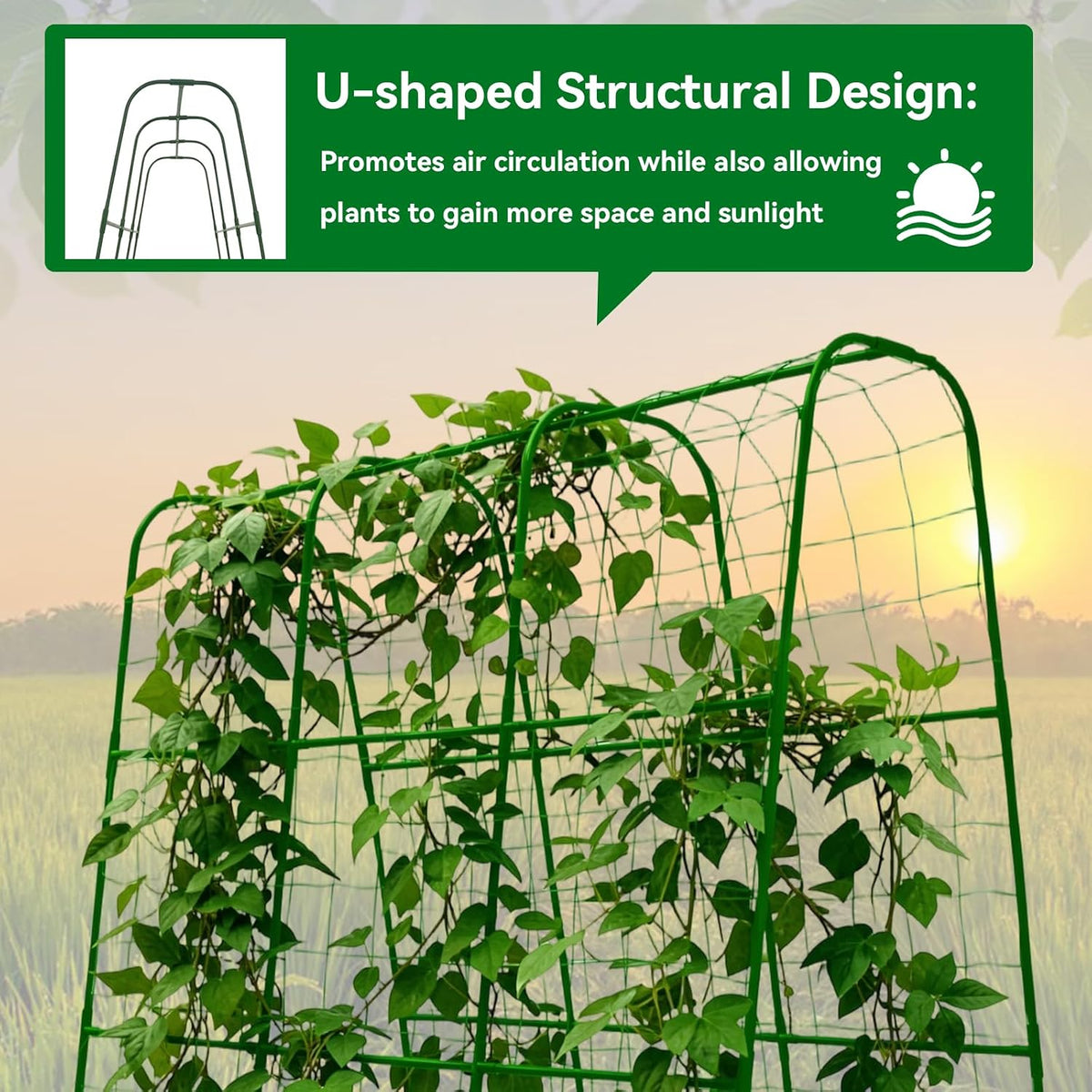 Cucumber Trellis - 62.4"*50" Cucumber Trellis for Raised Bed with Plastic-Coated Steel Pipe, U-Shape Garden Trellis for Climbing Plants, Garden Trellis for Cucumbers, Beans(Black)